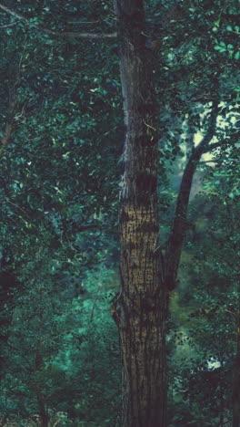 escena del bosque oscuro