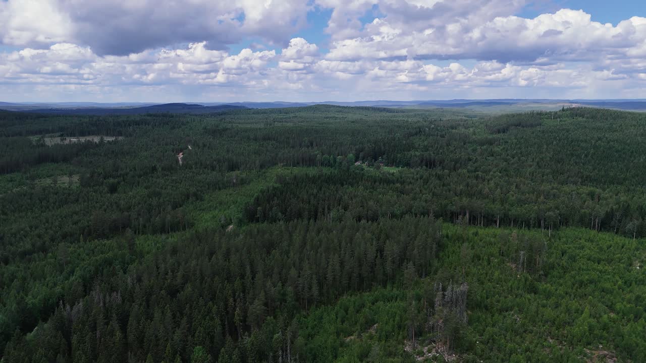 una vista expansiva de bosques verdes y exuberantes bajo un cielo parcialmente nublado en suecia, tomada desde el aire