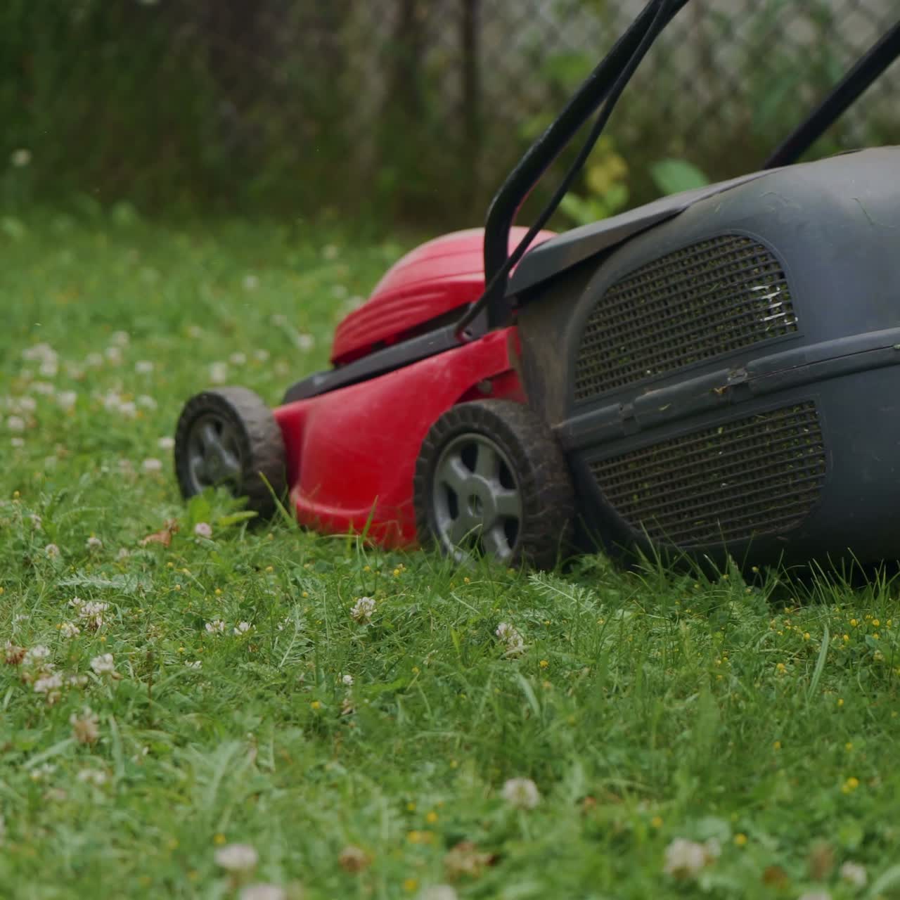 human is controlling the work of lawn mower near the path in the yard in the summer. The lawn mower consistently is mowing grass