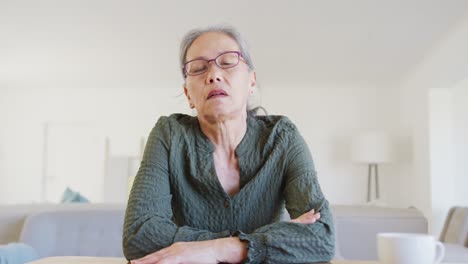 Portrait-of-asian-senior-woman-talking-and-having-video-call