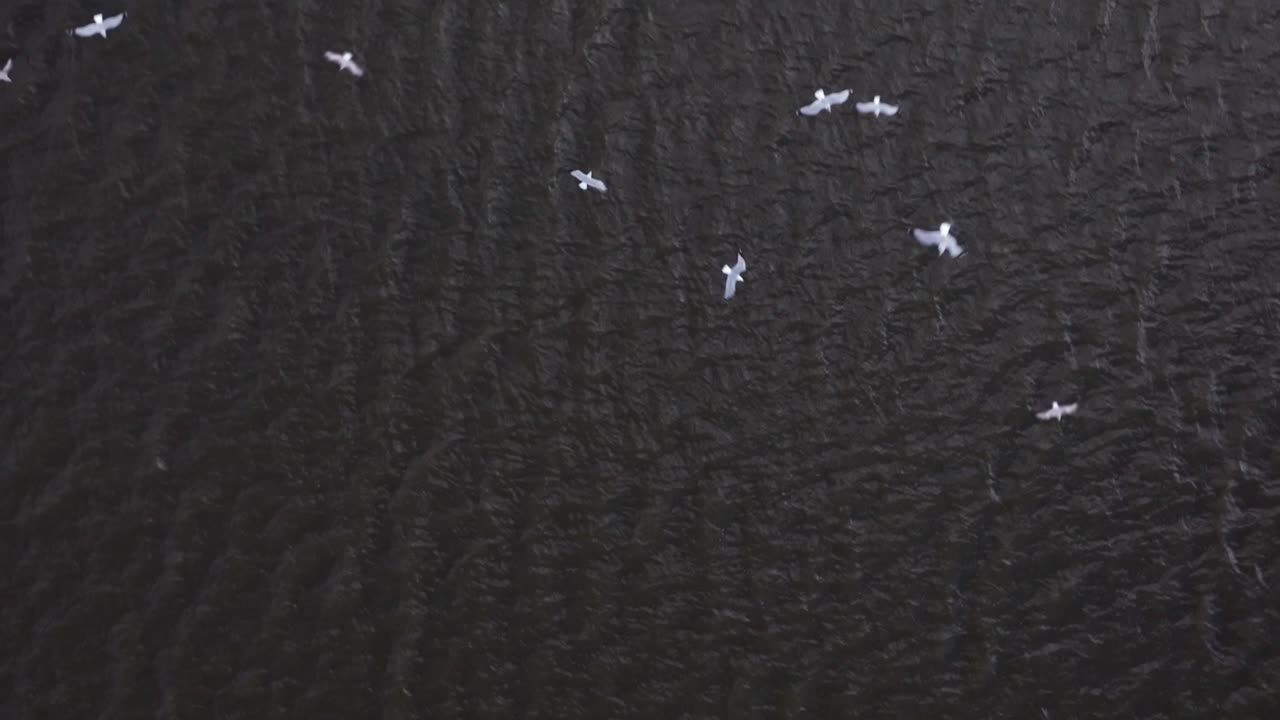 una vista aérea del lago meadow en queens, nueva york en un día soleado