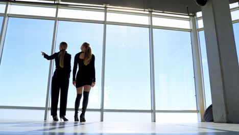 beautiful girls in spacious office look through the window. business women talking and viewing the city from the building. rear view. panoramic windows.