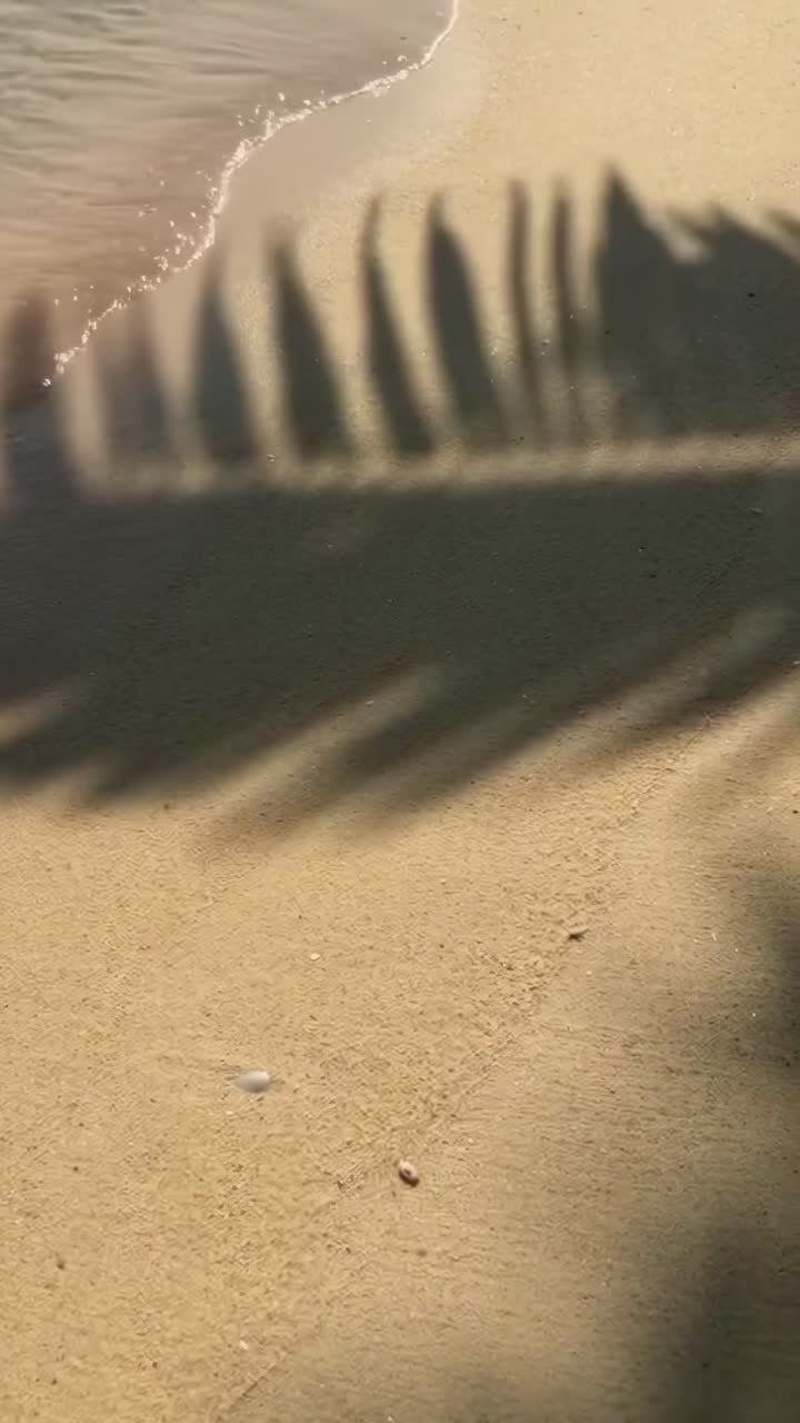 Aerial video of palm shadows on sandy beach, capturing serene tropical vibes