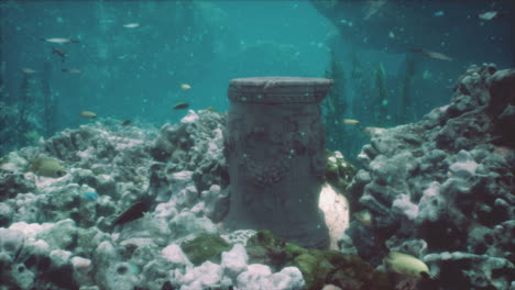 escena de un acuario submarino con corales y peces