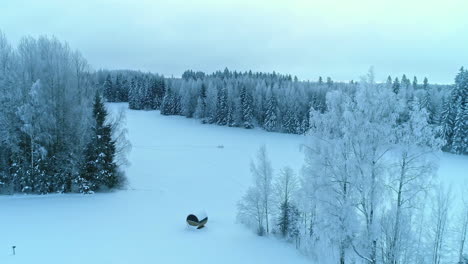 Drohnenschuss-Steigt-Auf,-Um-Schneebedeckten-Fichtenwald-In-Der-Natur-Zu-Enthüllen