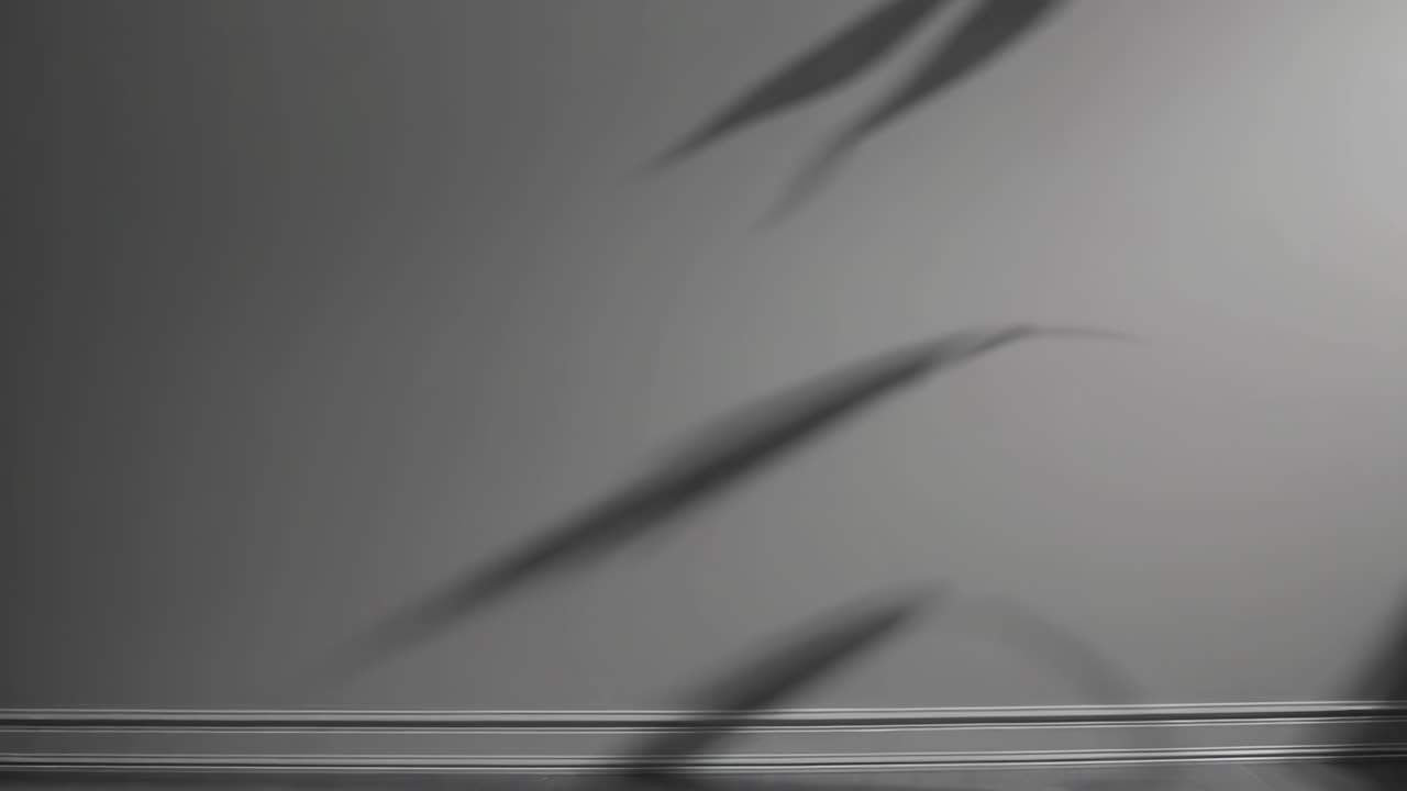 Plant Shadow on Grey Wall