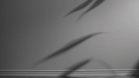 plant shadow on grey wall