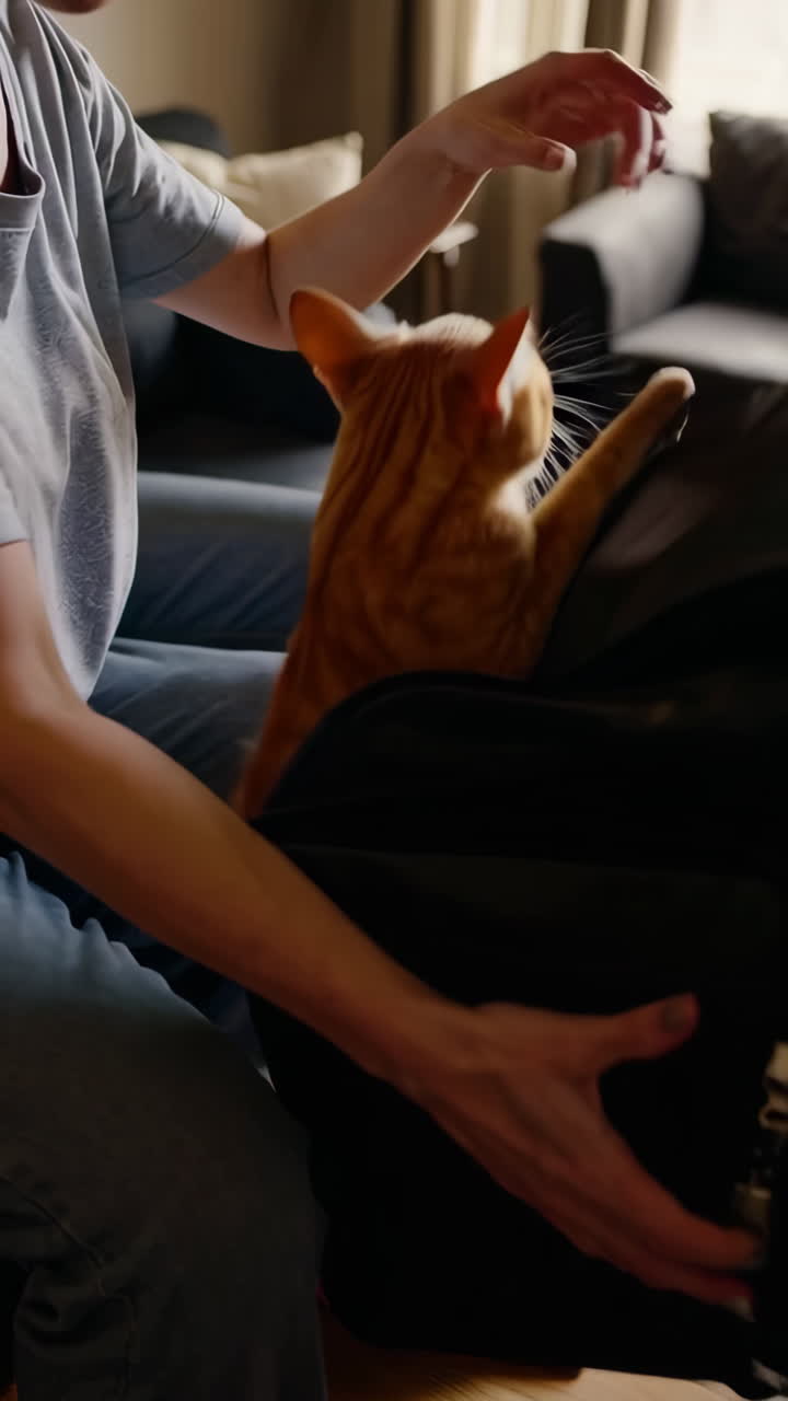People interacting with a cat in a living room