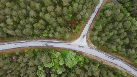 top-down view over curvy road hidden deep inside pine forest - kinsarvik norway