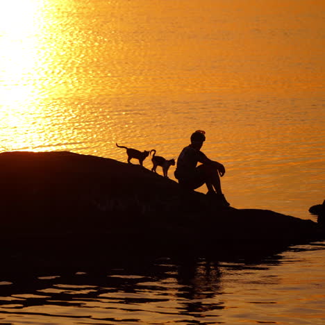 man with cats on the background of golden path of setting sun over water. silhouette of a guy sitting on the big stone surrounded by water in the evening.