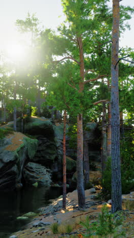 sunlight filtering through pine trees in a forest, illuminating a tranquil lake