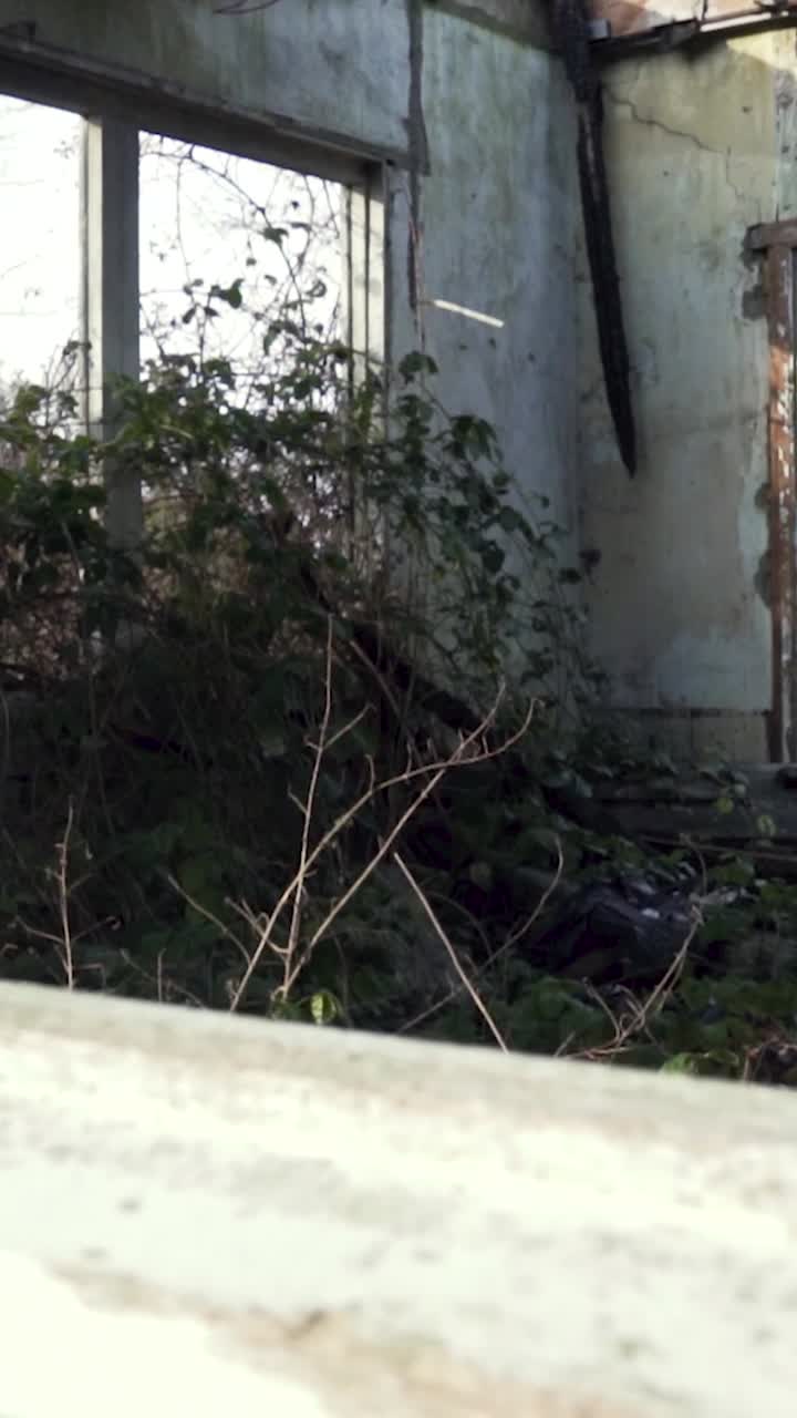 버려진 초록색 건물 내부