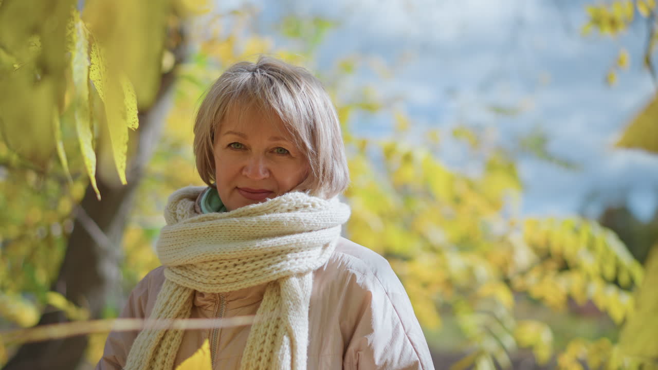 woman wearing cream scarf and soft pink jacket gently looking at yellow leaf in peaceful autumn park surrounded by warm sunlight and golden foliage
