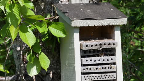 Insektenhotel-Auf-Einem-Baum-Mit-Geschäftiger-Bienenaktivität,-Mittlere-Aufnahme