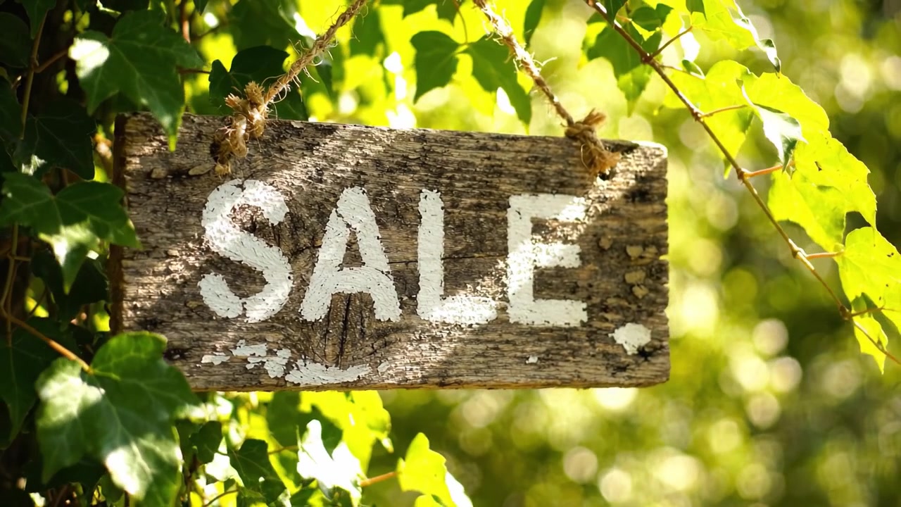 Cartello di vendita in legno rustico appeso tra un vibrante fogliame verde, che indica sconti e offerte in un ambiente naturale per acquirenti e cacciatori di occasioni.
