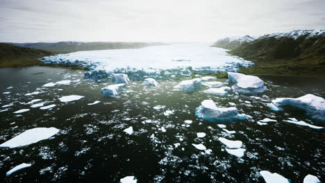 daylight glacier calving and icebergs in a serene arctic landscape