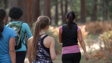 group of women runners walking in forest talking, back view