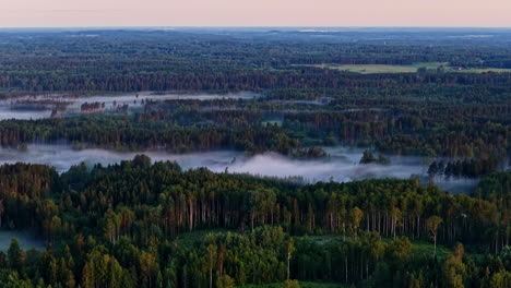 mist covering part of a forest. quick aerial view