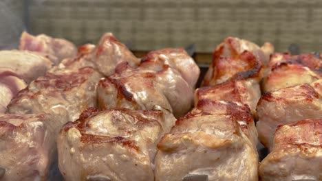 Close-up-of-steaming-meat-on-a-barbecue-grill