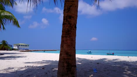 bajo la sombra de una palmera en maldivas, una cacerola lenta que revela una casa de playa a lo lejos