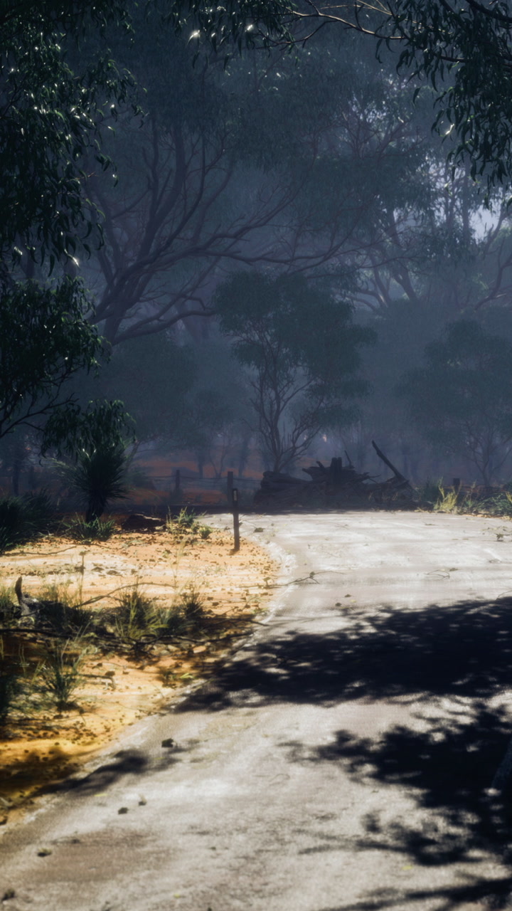 Winding road through trees in a foggy forest scene in the early morning
