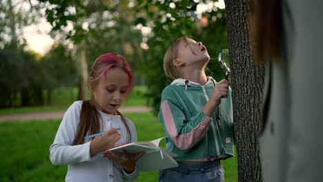 children studying nature in a park