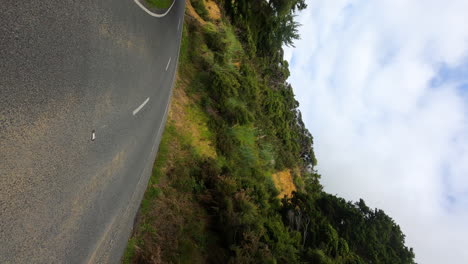 driving along an empty winding country road in the north island of new zealand