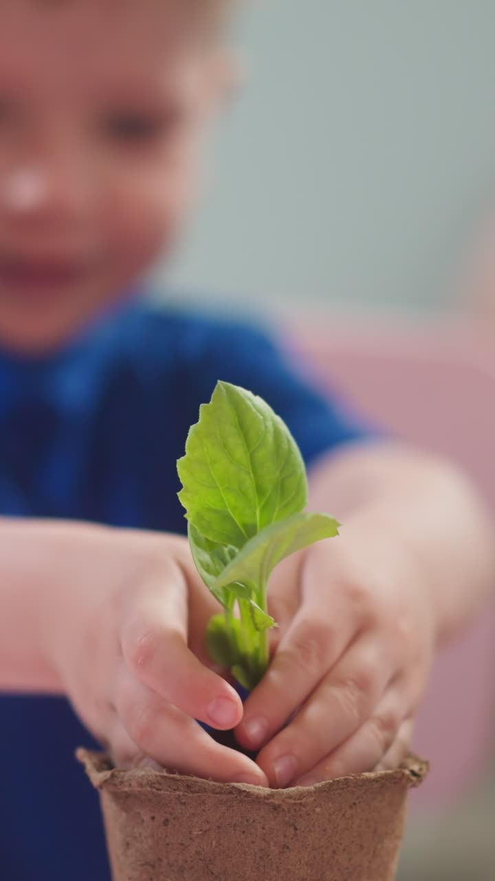 Happy toddler boy puts seedling into paper pot at home focus on hands slow motion. Child cares of sprout. Protecting and recovering of global nature