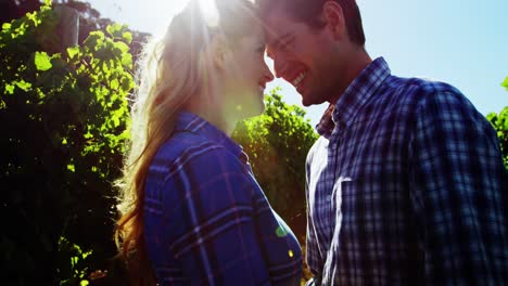 pareja romántica de pie en el viñedo