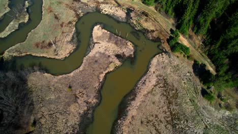 poisoned water in a polluted river