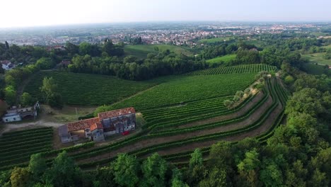 aerial drone shot bird view of the green hills in the valdobbiadene prosecco area