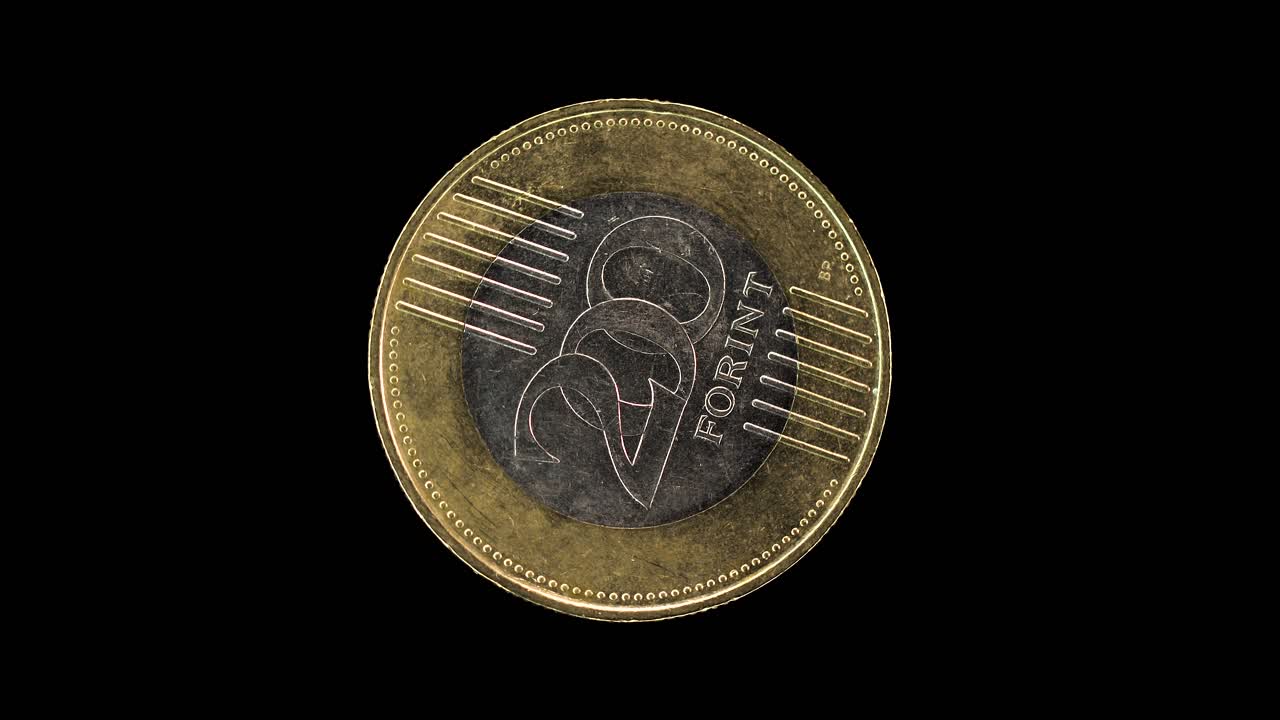 Hungary 200 forint 2009 reverse with denomination, macro loop on black background