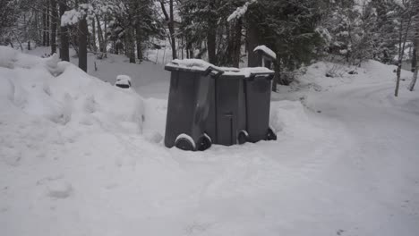 black wheeled trash bins covered with snow with pine trees in the background at winter