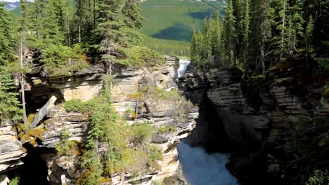 athabasca falls en el parque nacional jasper, alberta en canadá