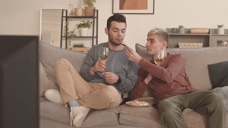 gay couple drinking wine and watching film on tv