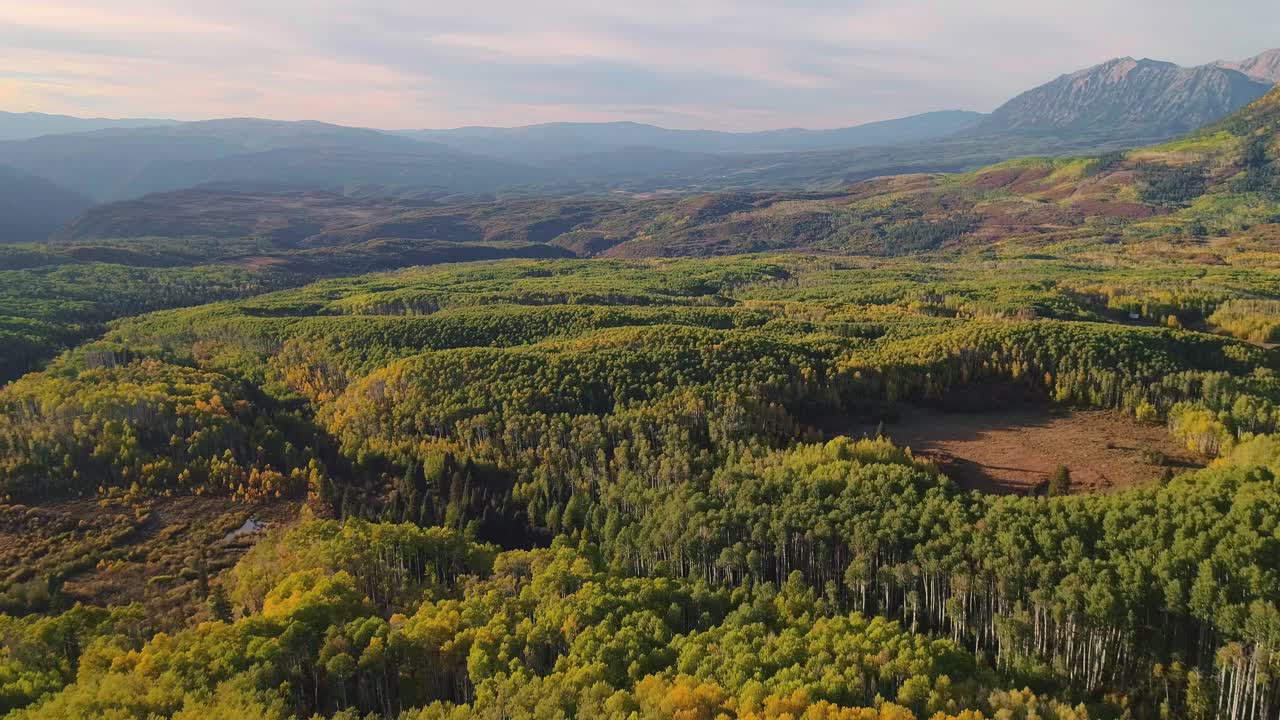 álamos tembloses girando en kebler pass, colorado