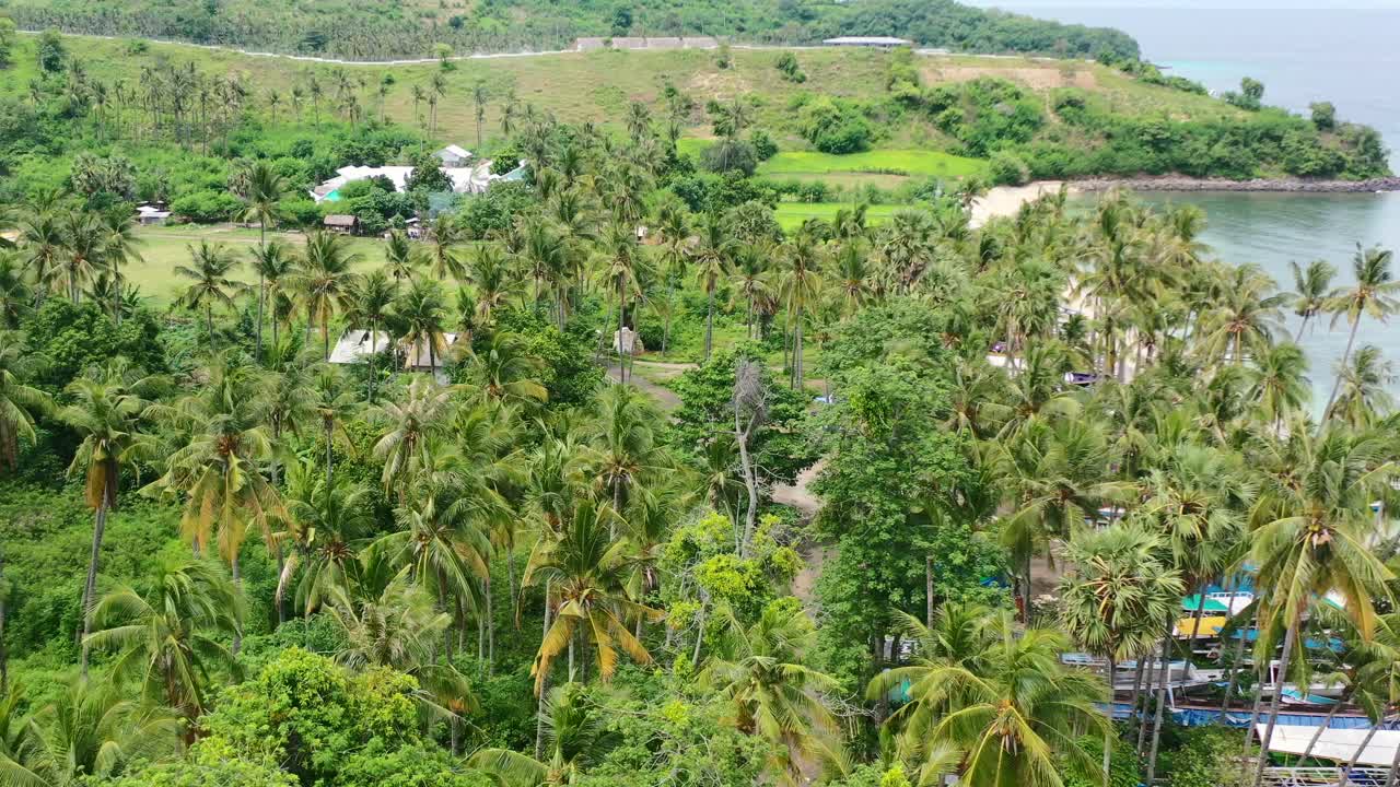 paisaje aéreo tropical de la costa de la bahía de mentigi en lombok con cocoteros