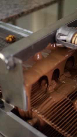 a worker put candies to get covered by chocolate on production line. pouring chocolate machine.