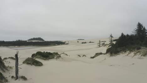 Slow-tracking-shot-of-Oregon-sand-dunes