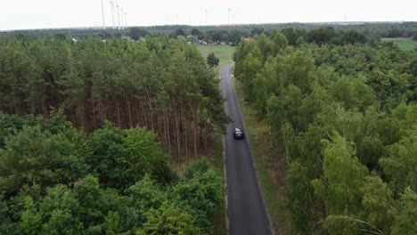 black car driving in the forest