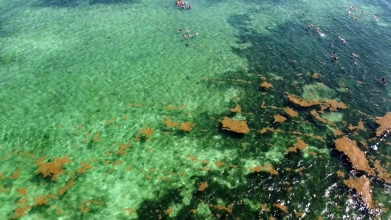 toma aerea de agua cristalina en el akumal, tulum, quintana roo, mexico