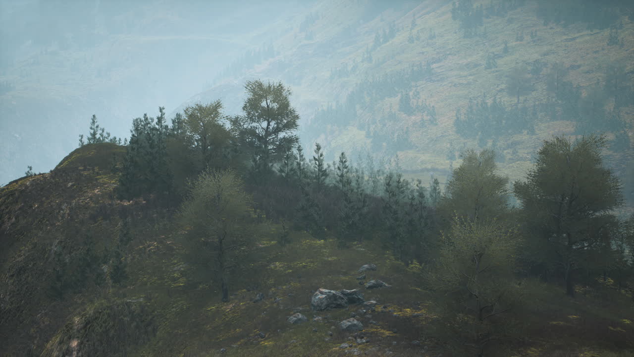 pequeños árboles verdes en las colinas en la niebla