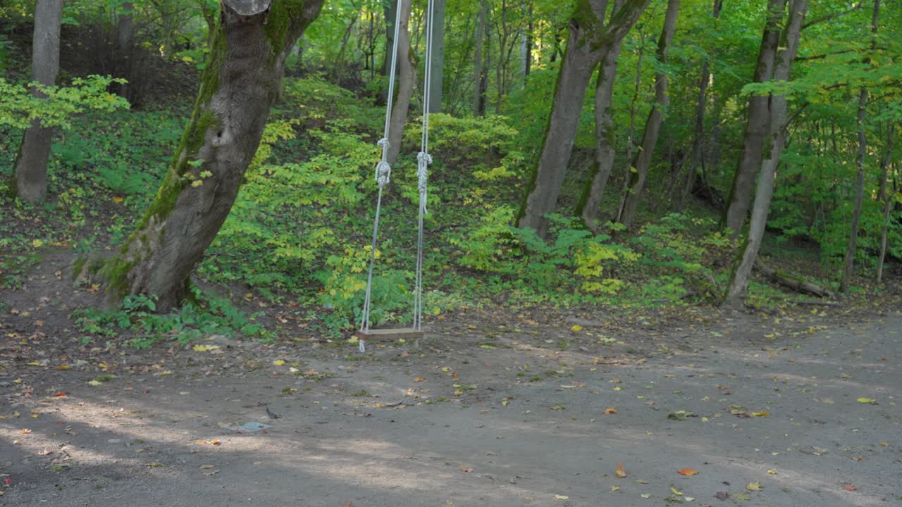 A handmade rope swing hanging from a tree in a quiet, green forest during early autumn. Peaceful and nostalgic nature setting
