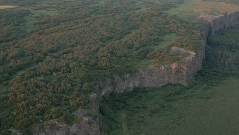 Forest-landscape-in-remote-Iceland-wilderness-with-ancient-glacial-rock-wall,-aerial