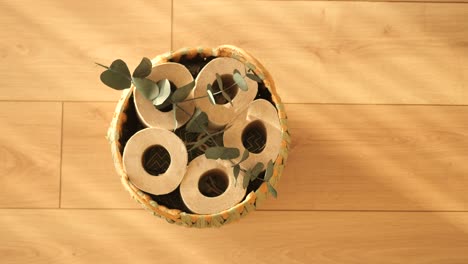 sustainable toilet paper in basket with eucalyptus