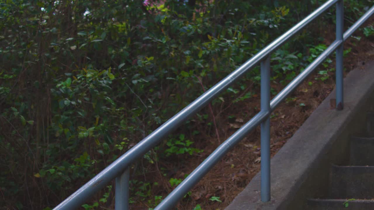 한 여자 조거 가 외 ⁇  에 있는 도시 공원 에서 계단 을 내려가면서 아침 운동 을 준비 하고 있다