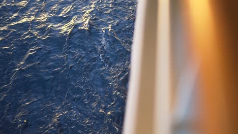 dolphins in the ocean from a cruise ship