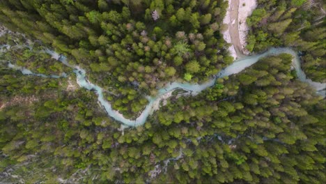 Top-shot-of-winding-river-near-Dobbiaco-lake-and-forest-in-Toblacher-See,-South-Tyrol,-Italy