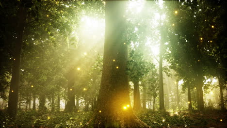 enchanted forest with fireflies and sunlight