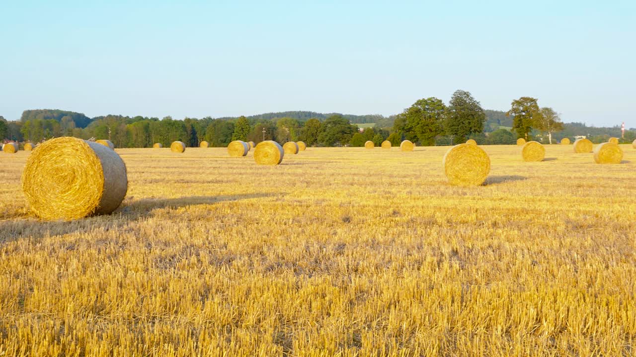 수확 후 에 알. 농업. 황금  풍경에 발.
